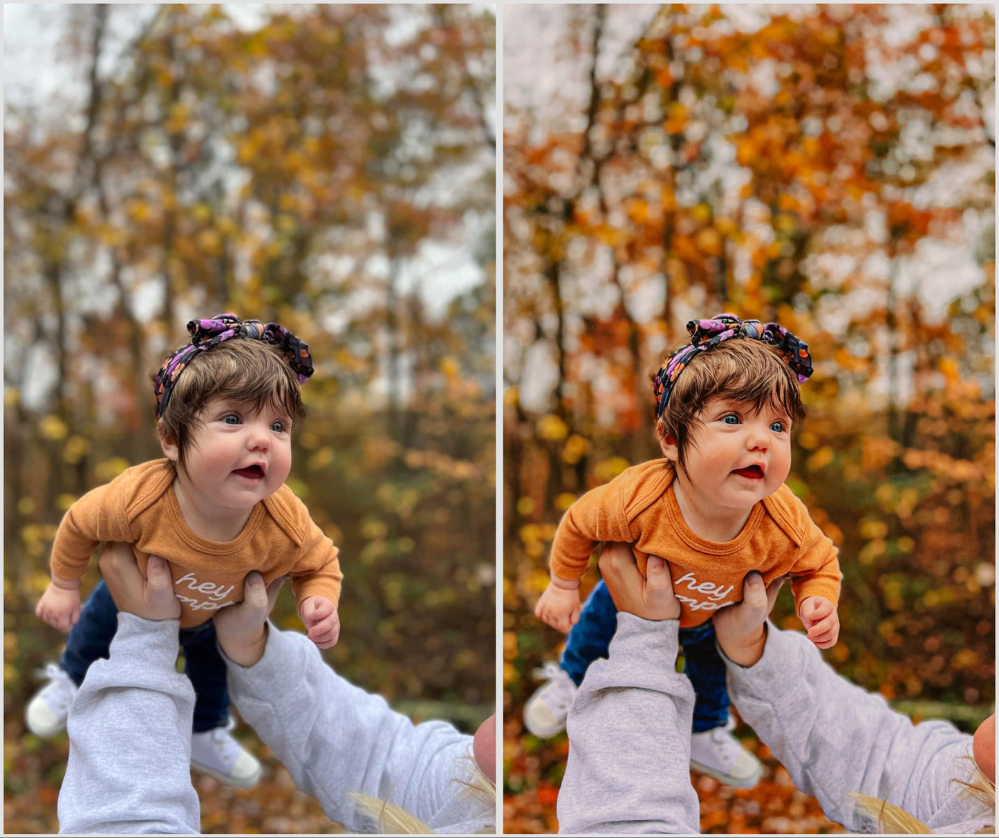 Brisk Autumn