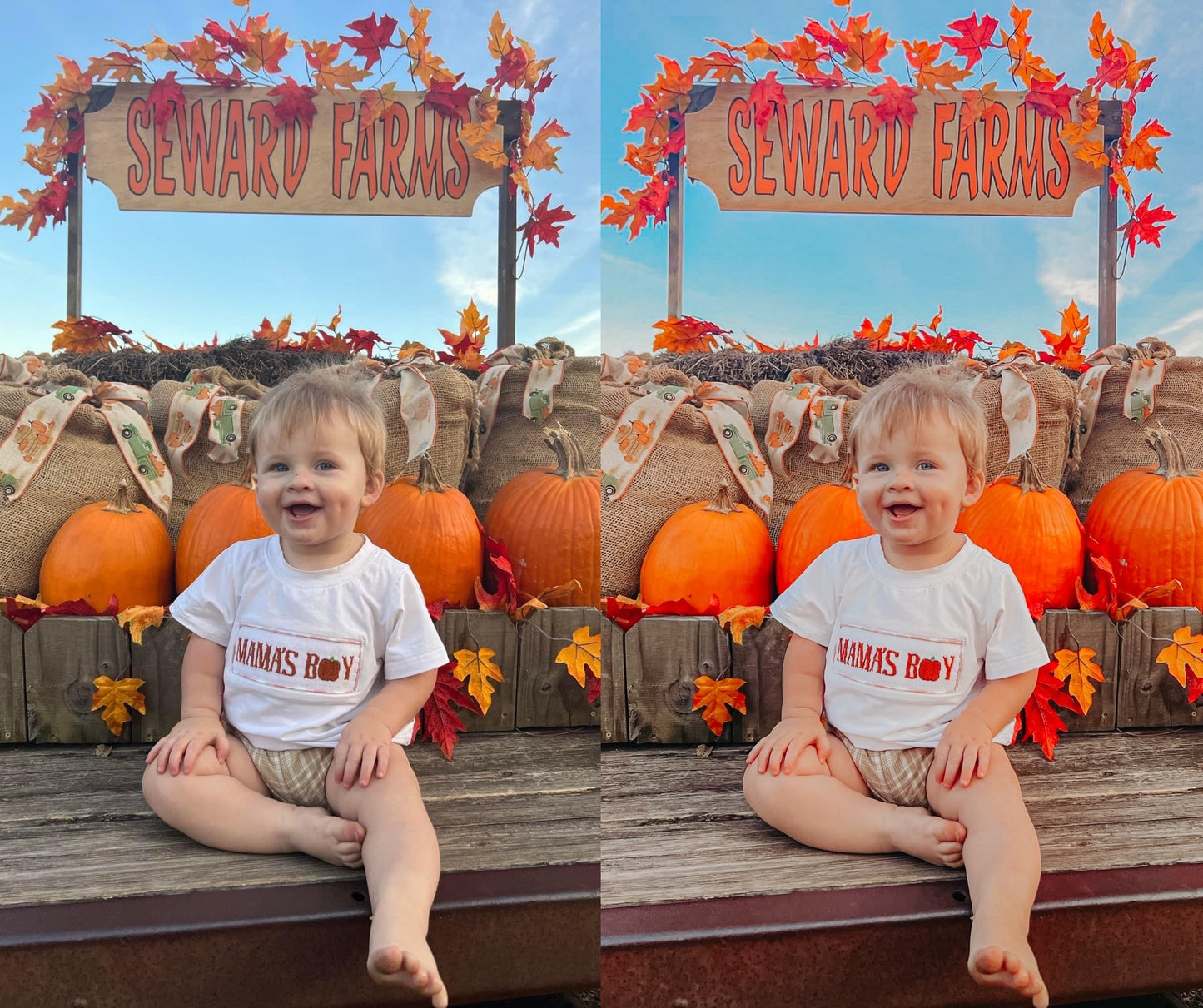 Pumpkin Harvest