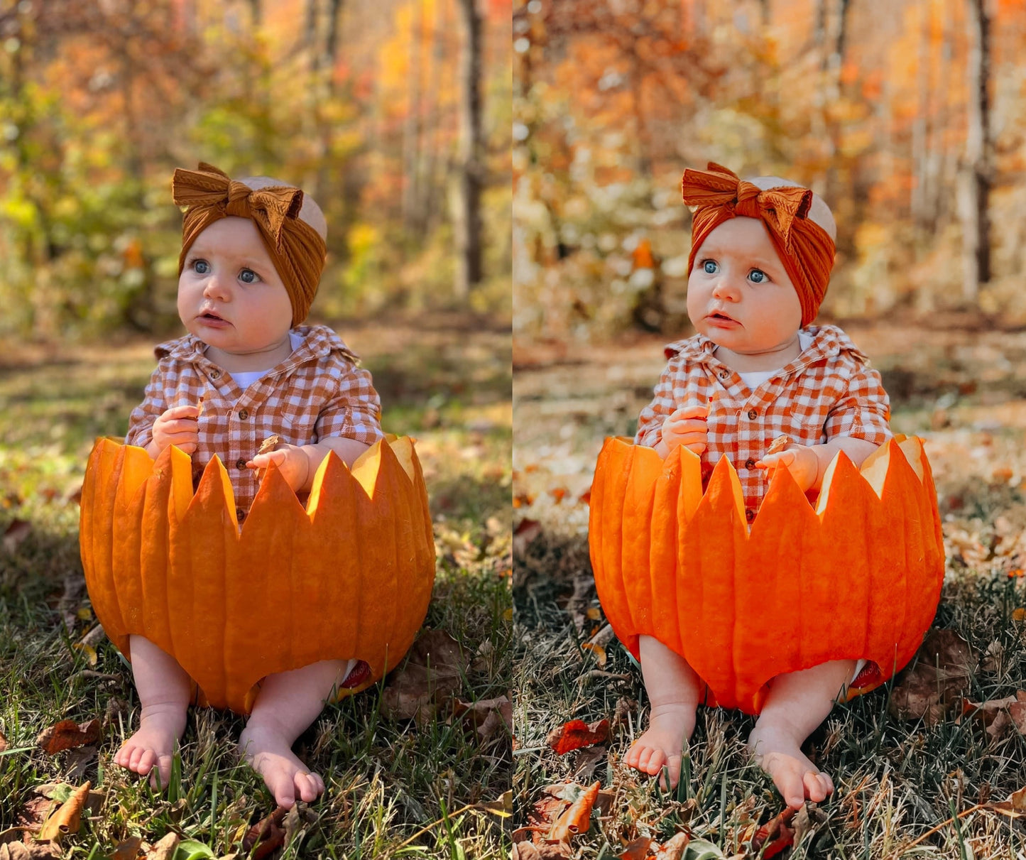 Pumpkin Harvest