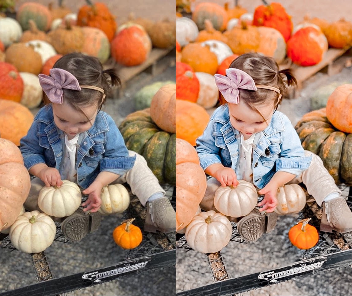 Take Me to the Pumpkin Patch